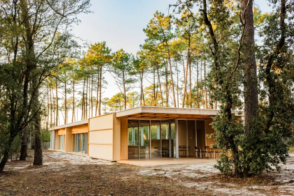 Villa Ahşap Dekorasyonu – Orman İçinde Ahşap Cepheli Tek Katlı Ev